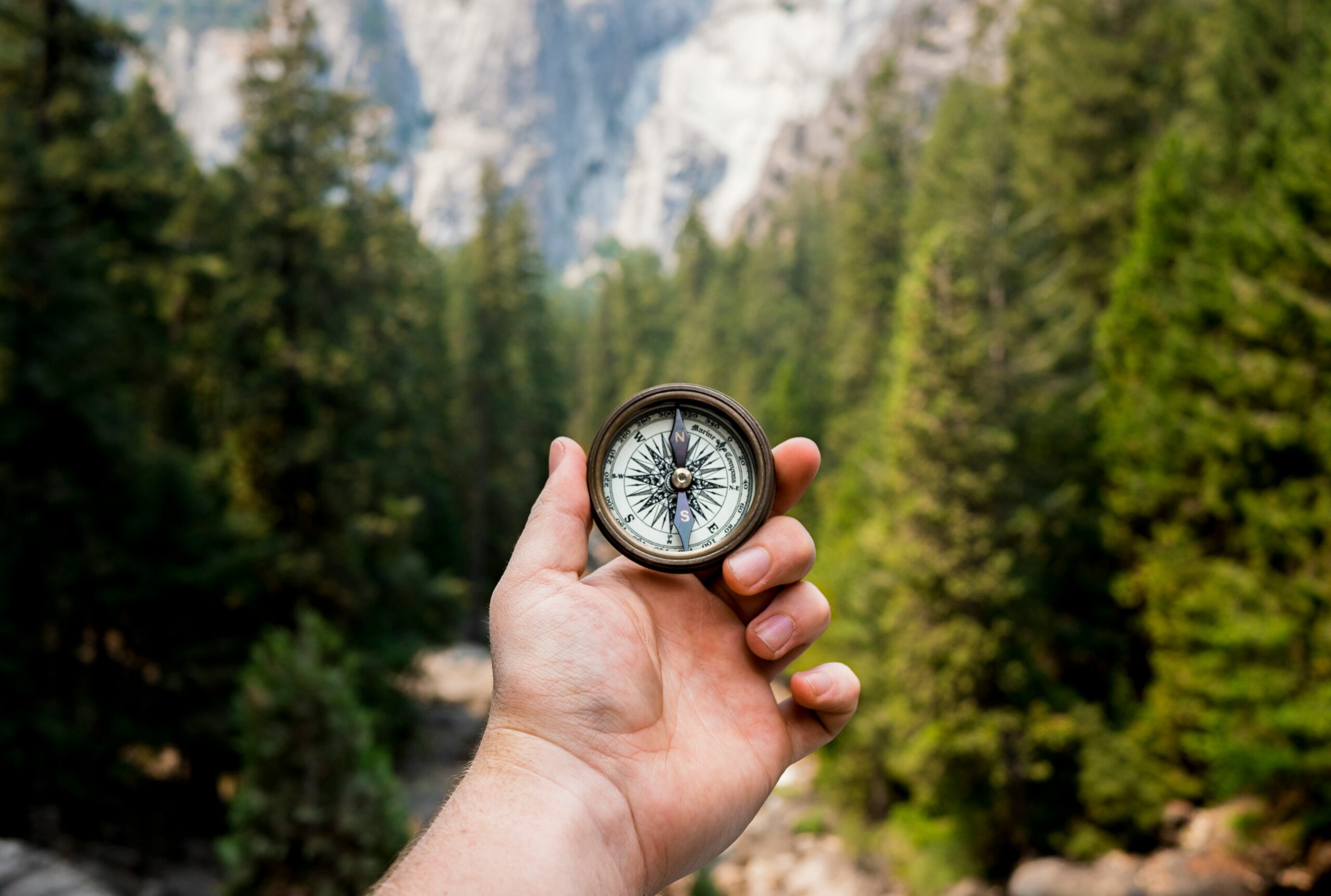 Hand holding a compass for direction against a background of trees